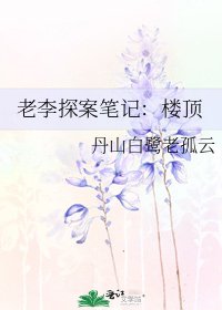 老李探案笔记:楼顶